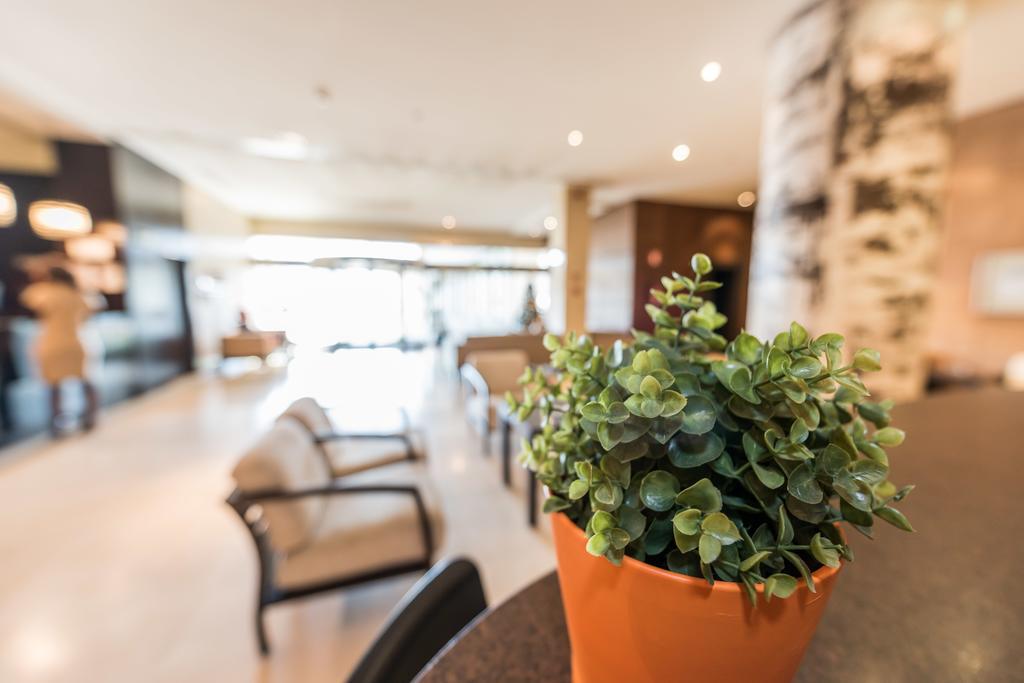 Hotel Mercader Madrid Exterior photo
